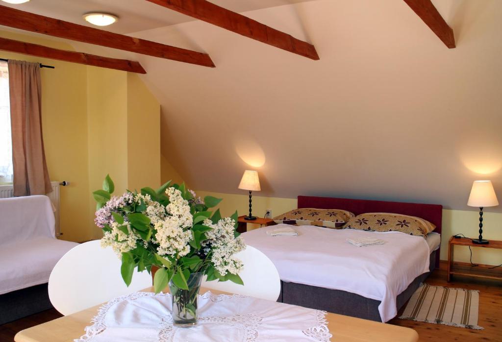 Penzion Kremenisko Banska Stiavnica Phòng bức ảnh